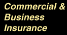 Business & Commercial Insurance